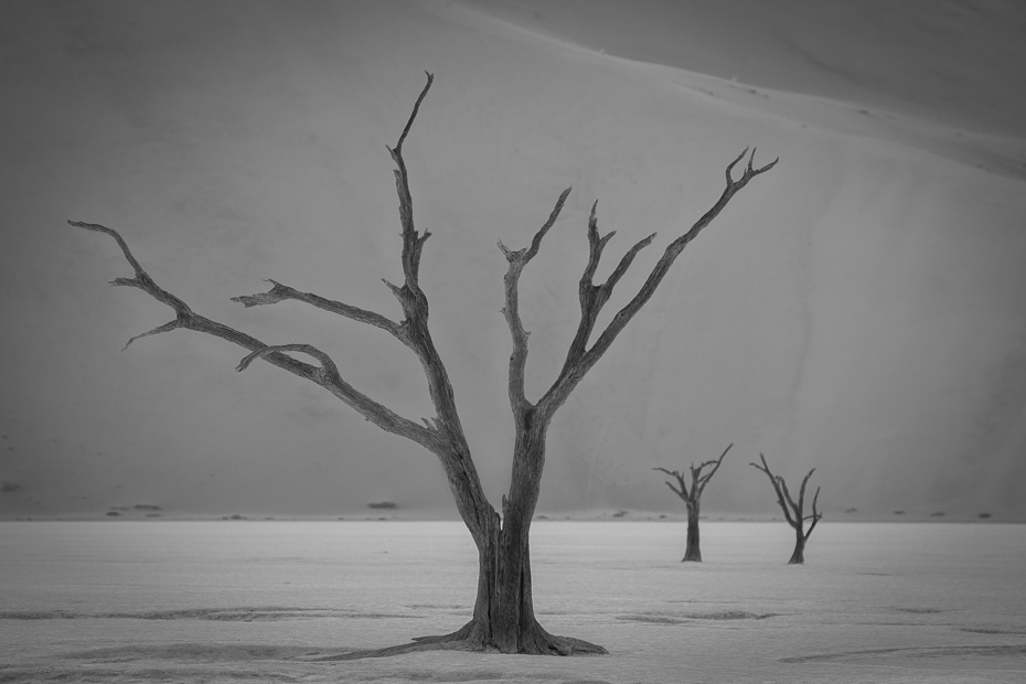  Deadvlei Krajobraz Nikon D7100 AF-S Nikkor 70-200mm f/2.8G Namibia 0 drzewo czarny i biały roślina drzewiasta fotografia monochromatyczna gałąź zamrażanie fotografia niebo monochromia zimowy