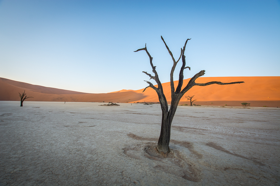  Deadvlei Krajobraz Nikon D7100 Sigma 10-20mm f/3.5 HSM Namibia 0 niebo eoliczny krajobraz pustynia piasek wydma erg krajobraz horyzont ecoregion drzewo
