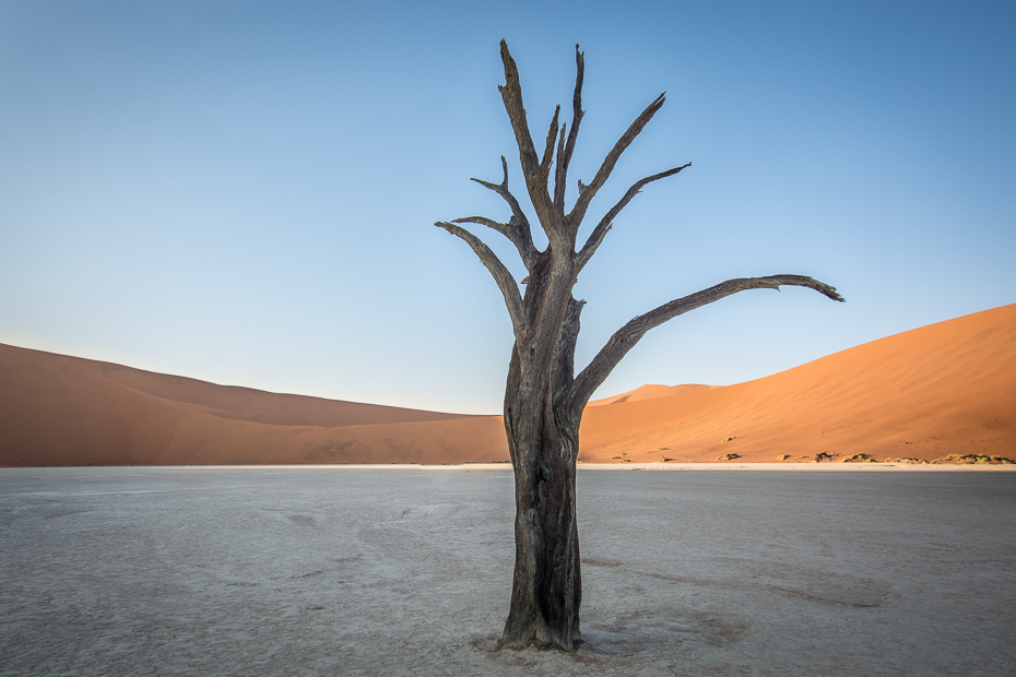  Deadvlei Krajobraz Nikon D7100 Sigma 10-20mm f/3.5 HSM Namibia 0 pustynia niebo eoliczny krajobraz piasek krajobraz drzewo wydma erg sahara ecoregion