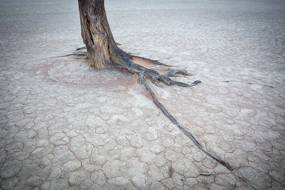  Deadvlei Krajobraz Nikon D7100 Sigma 10-20mm f/3.5 HSM Namibia 0 drewno drzewo piasek niebo woda lina