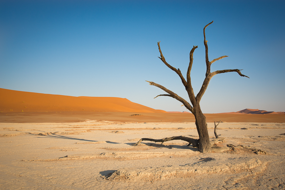  Deadvlei Krajobraz Nikon D7100 Sigma 10-20mm f/3.5 HSM Namibia 0 pustynia eoliczny krajobraz erg niebo piasek krajobraz sahara wydma horyzont ecoregion