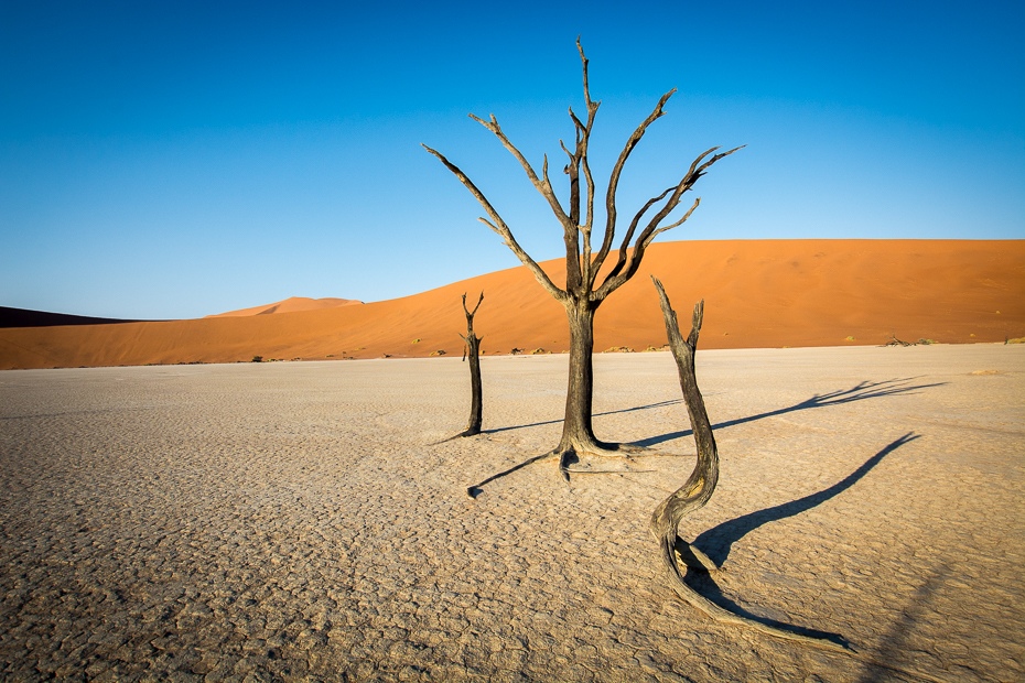  Deadvlei Krajobraz Nikon D7100 Sigma 10-20mm f/3.5 HSM Namibia 0 pustynia niebo eoliczny krajobraz piasek erg krajobraz horyzont ecoregion sahara wydma