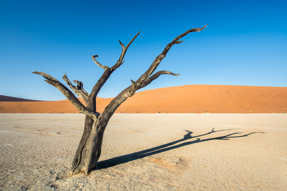  Deadvlei Krajobraz Nikon D7100 Sigma 10-20mm f/3.5 HSM Namibia 0 pustynia niebo eoliczny krajobraz piasek erg krajobraz wydma sahara drzewo ecoregion