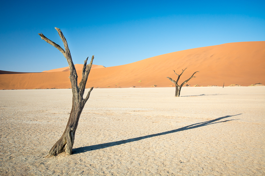  Deadvlei Krajobraz Nikon D7100 Sigma 10-20mm f/3.5 HSM Namibia 0 pustynia niebo eoliczny krajobraz piasek erg wydma krajobraz sahara horyzont śpiewający piasek