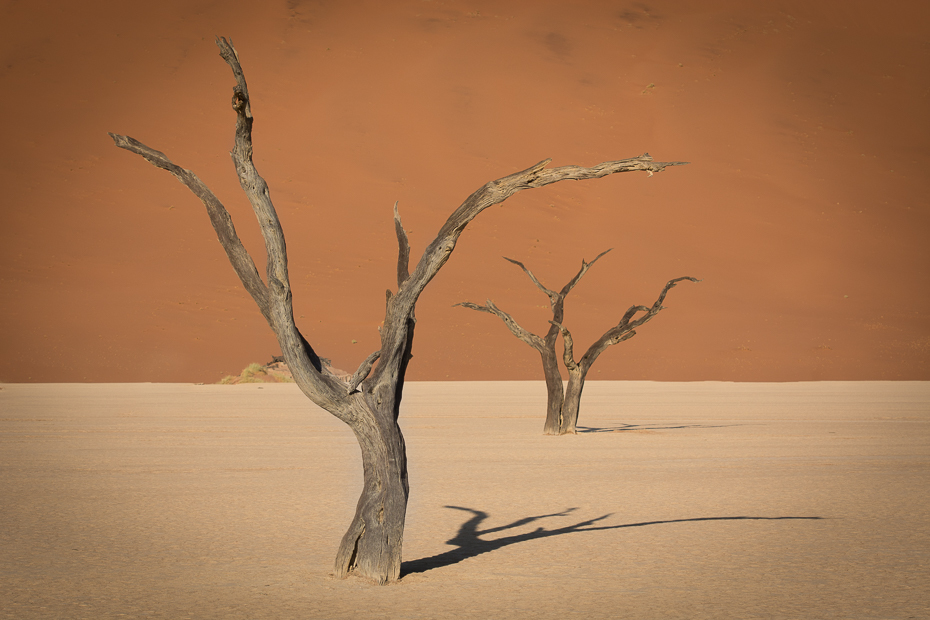  Deadvlei Krajobraz Nikon D7100 AF-S Nikkor 70-200mm f/2.8G Namibia 0 drewno piasek gałąź niebo krajobraz drzewo Gałązka spokojna martwa natura pustynia