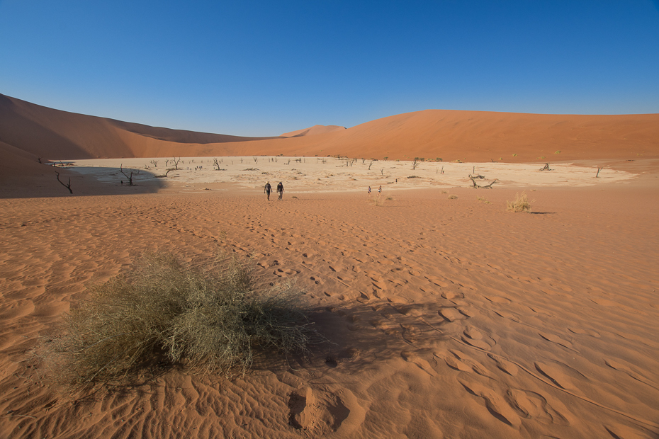  Deadvlei Krajobraz Nikon D7100 Sigma 10-20mm f/3.5 HSM Namibia 0 pustynia erg śpiewający piasek eoliczny krajobraz piasek niebo sahara ekosystem wydma krajobraz