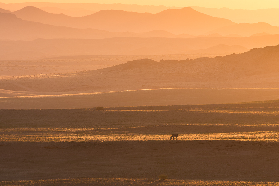  Rostock Desert Campsite Krajobraz Nikon D7200 NIKKOR 200-500mm f/5.6E AF-S Namibia 0 niebo horyzont ekosystem ranek ecoregion wschód słońca świt Równina światło słoneczne piasek