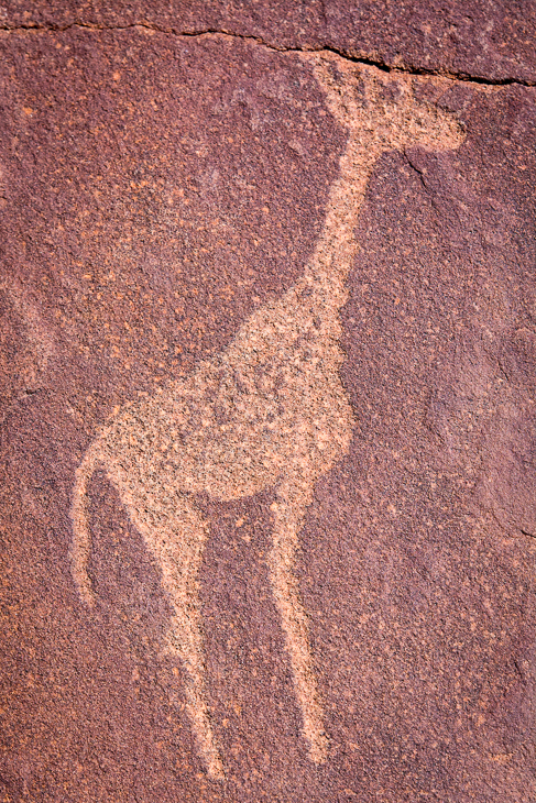  Twyfelfontein Krajobraz Nikon D7100 AF-S Nikkor 70-200mm f/2.8G Namibia 0 fauna żyrafa skała geologia gleba dzikiej przyrody piasek organizm wzór żyrafy