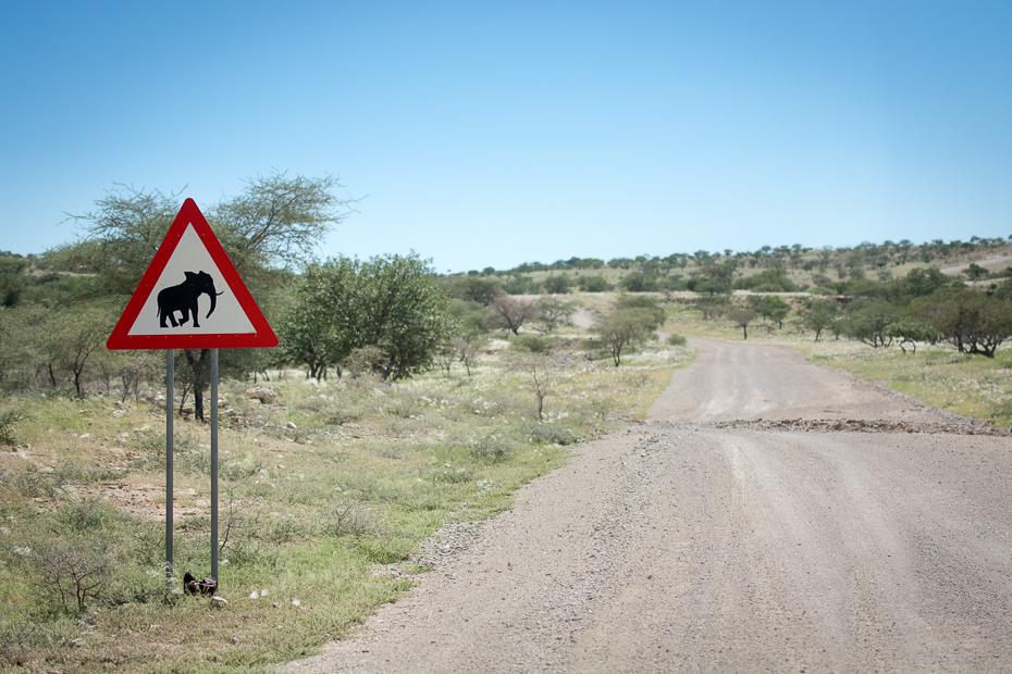  Ostrzeżenie przed słoniami Krajobraz Nikon D7100 AF-S Nikkor 70-200mm f/2.8G Namibia 0 Droga niebo infrastruktura ścieżka znak drogowy preria łąka obszar wiejski oznakowanie pole