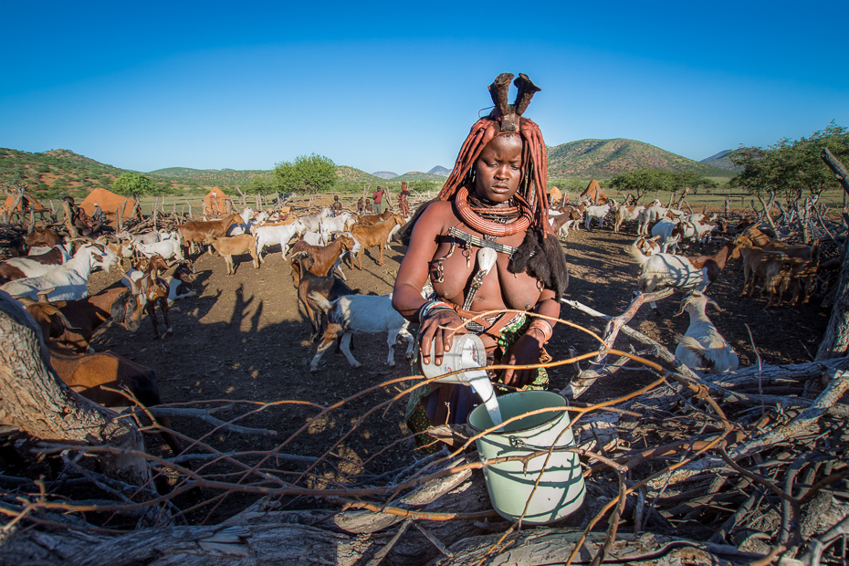  Dojenie kóz Himba Nikon D7200 Sigma 10-20mm f/3.5 HSM Namibia 0 ludzie niebo plemię drzewo