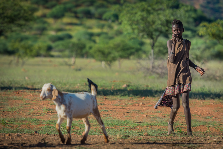  Wioska Himba Nikon D7100 AF-S Nikkor 70-200mm f/2.8G Namibia 0 kozy pole obszar wiejski trawa drzewo rolnictwo pastwisko Koza niebo żywy inwentarz