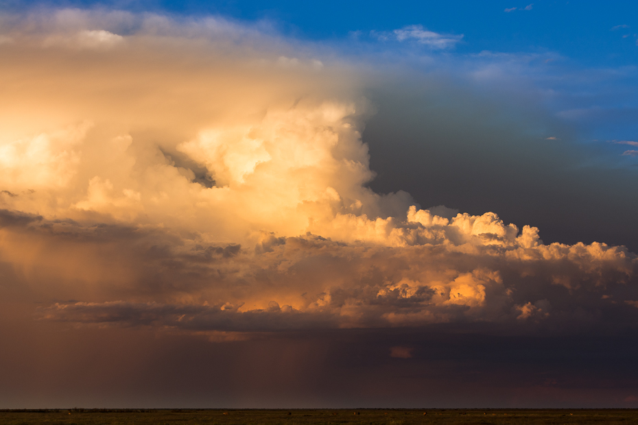  Chmury nad Etoshą Krajobraz Nikon D7100 AF-S Nikkor 70-200mm f/2.8G Namibia 0 niebo Chmura horyzont atmosfera cumulus dzień morze poświata spokojna zachód słońca