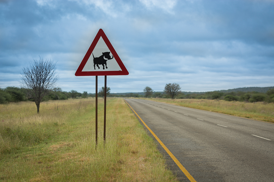  Uwaga guźce Krajobraz Nikon D7100 AF-S Nikkor 70-200mm f/2.8G Namibia 0 Droga pas ruchu znak drogowy niebo infrastruktura ścieżka znak oznakowanie Chmura nawierzchnia drogi