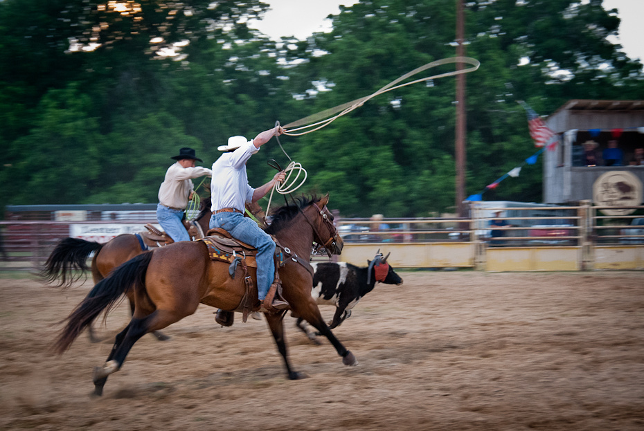  Rodeo Texas 0 Nikon D80 Tamron 17-50mm f/2.8 Di-II Aspherical sporty na zwierzętach wodza rodeo uzda jazda na zachodzie koń zdarzenie tradycyjny sport ogier ranczo