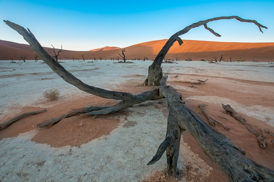  Deadvlei Krajobraz Nikon D7100 Sigma 10-20mm f/3.5 HSM Namibia 0 morze Wybrzeże niebo drewno piasek horyzont driftwood drzewo woda