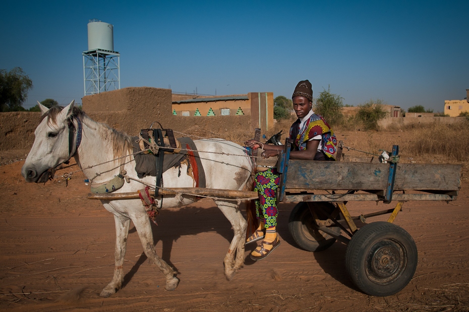  Dwukółka Mali Nikon D300 AF-S Zoom-Nikkor 17-55mm f/2.8G IF-ED Budapeszt Bamako 0 rodzaj transportu pojazd wózek juczne zwierzę rydwan koń jak ssak koń uprząż konia koń i buggy wagon