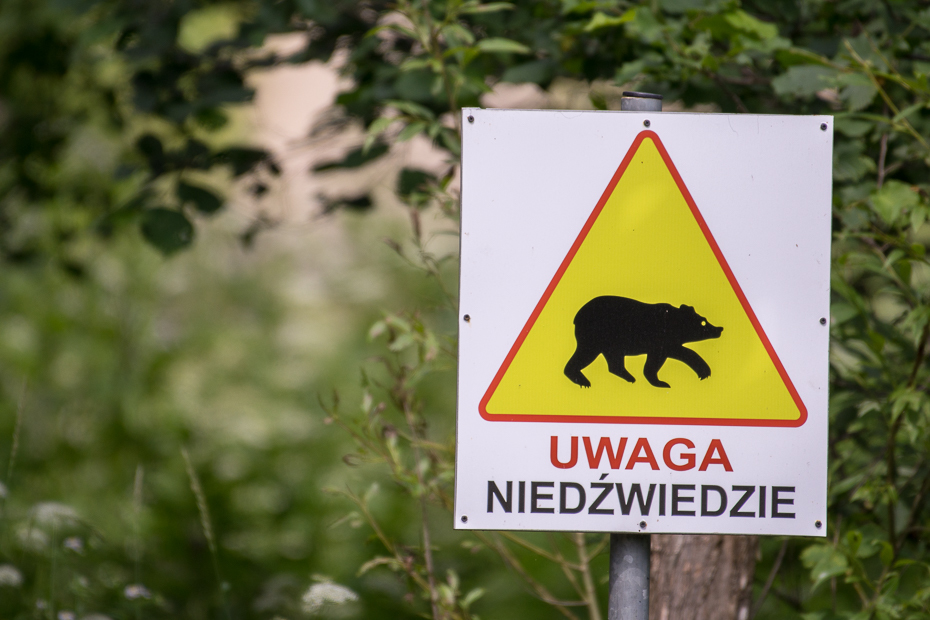  Uwaga niedźwiedzie 0 Lipiec Nikon D7100 NIKKOR 200-500mm f/5.6E AF-S Biesczaty znak fauna znak drogowy oznakowanie trawa drzewo