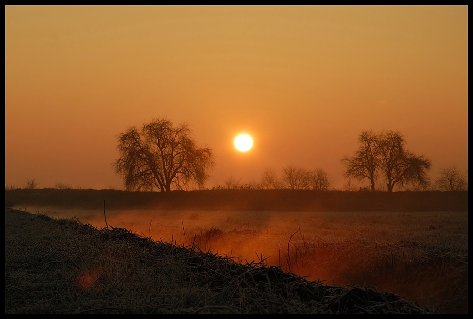  poranku Krajobraz Nikon D200 AF-S Zoom-Nikkor 18-70mm f/3.5-4.5G IF-ED wschód słońca świt ranek słońce atmosfera niebo zamglenie drzewo atmosfera ziemi zachód słońca