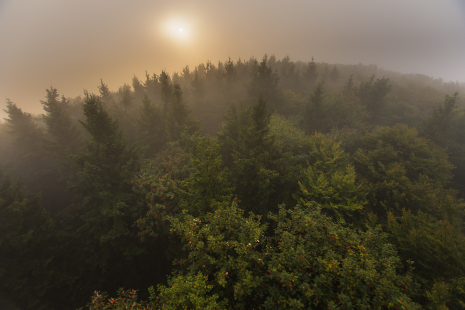  Góry Sowie Krajobraz Nikon D7200 Sigma 10-20mm f/3.5 HSM Natura wegetacja zamglenie drzewo mgła ekosystem las atmosfera niebo pustynia
