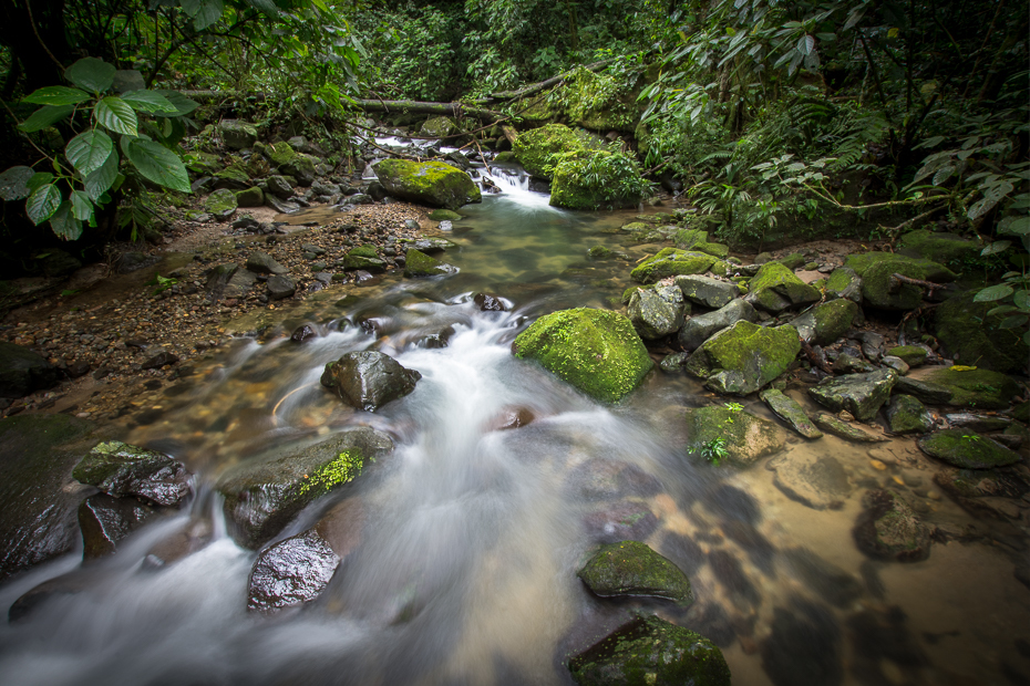  Krajobraz Nikon D7200 Sigma 10-20mm f/3.5 HSM 0 Panama woda strumień Natura rzeka zbiornik wodny zatoczka wegetacja zasoby wodne rezerwat przyrody