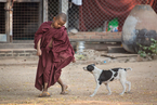 Mnich i pies