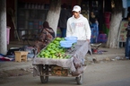 Sprzedawca owoców