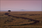 Masai Mara rano